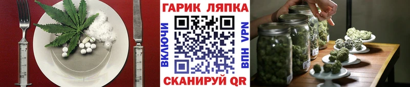 Купить закладки  Полысаево  Cannafood марихуана 