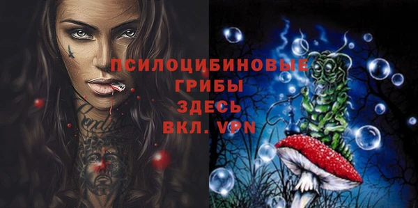 соль ск Верхнеуральск